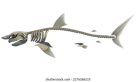 Great White Shark Skeleton 3D Rendering