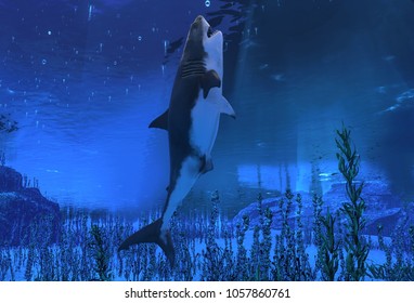 Great White Shark Swimming Underwater 3d Illustration