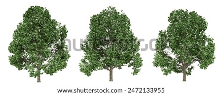 Similar – Image, Stock Photo Autumn-colored deciduous trees and a weeping willow on the banks of the Jacobiweiher in Frankfurt am Main