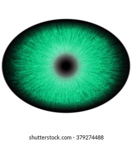 Green Animal Eye Large Pupil Bright Stock Illustration 379274488 ...