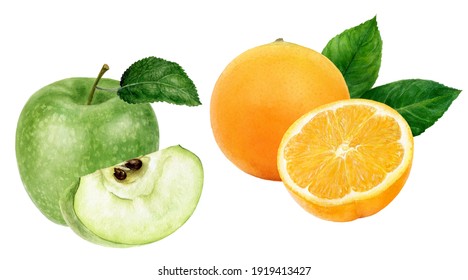 Green apple orange fruit watercolor illustration isolated on white background
