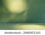 Green Background Wall Studio Kitchen Podium Light Shadow Leaf Autumn Summer Abstract Overlay Backdrop Room Minimal Product Cosmetic Summer Mockup Stage Podium Table Presentation Template Loft.