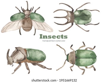 Green Beetles, Rhinoceros Beetle. Watercolor Hand Drawn Clipart. Realistic Insects