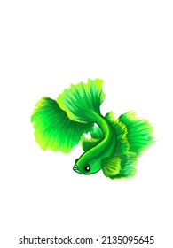 Green Betta Fish Painting Illustration