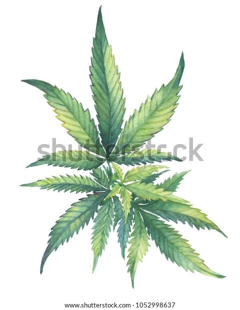 рисованные картинки марихуаны