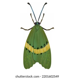 Green Bright Moth, Cartoon Style Isolated On White