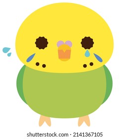 A Green Budgie Crying With Anxiety.