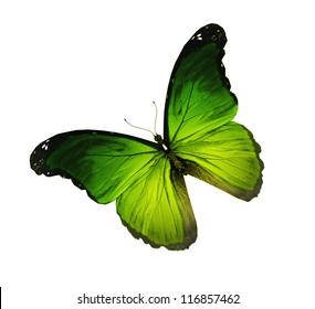 Green Butterfly Flying, Isolated On White