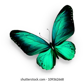 Green Butterfly , Isolated On White