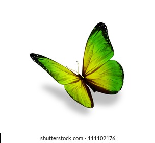 Green Butterfly , Isolated On White Background