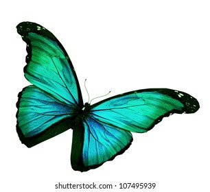 6,685 Neon butterflies Images, Stock Photos & Vectors | Shutterstock