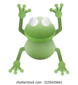 Green chubby frog white background
