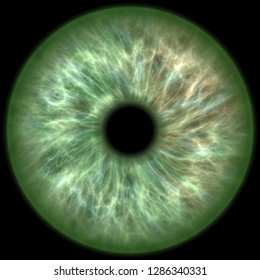 Green Colored Eye Iris