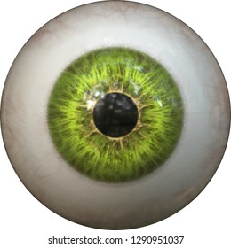 Green Eye Pupil Iris Eyeball