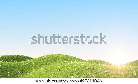 Green field. 3D rendering