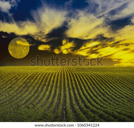 Similar – Image, Stock Photo soak up the sun