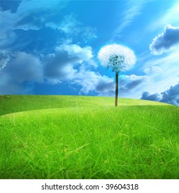 green fields with a dandelion in it