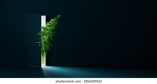 Green Fir Tree Enters The Door, Christmas Is Coming Concept Background 3D Rendering, 3D Illustration