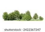 Green forest isolated on background. 3d rendering - illustration