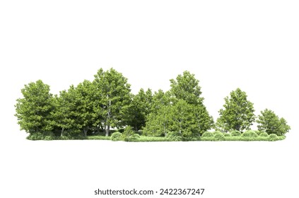 Green forest isolated on background. 3d rendering - illustration