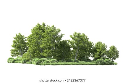 Green forest isolated on background. 3d rendering - illustration