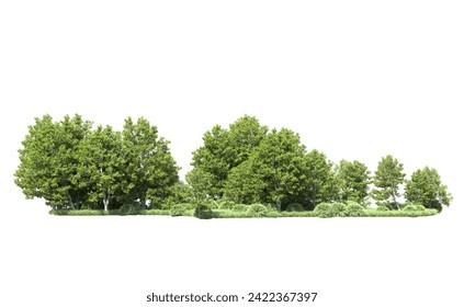 Green forest isolated on background. 3d rendering - illustration - Powered by Shutterstock