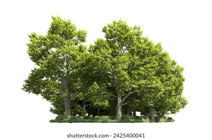 Green forest isolated on background. 3d rendering - illustration