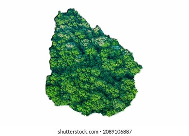 Green Forest Map Of Uruguay, On White Background