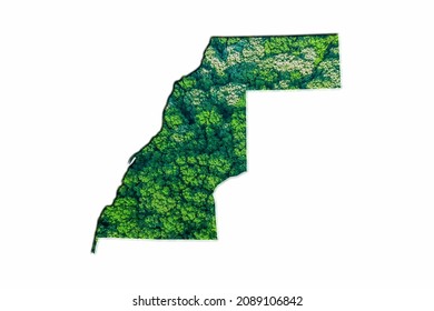 Green Forest Map Of Western Sahara, On White Background