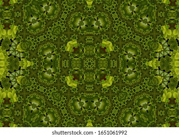 Green Fractal Abstract Background Art
 - Shutterstock ID 1651061992