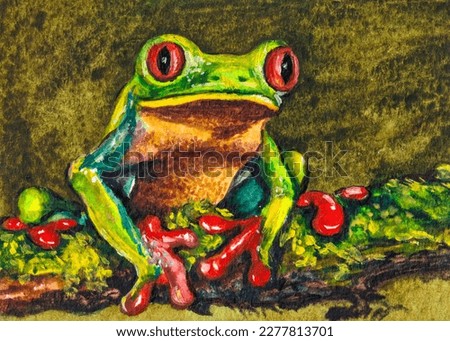 Green frog. Red eyes tree frog. Tropical wildlife nature. Garden pond. Watercolor painting. Acrylic drawing art. A piece of art.