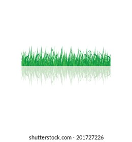 Green grass