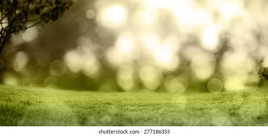 Green grass - Shutterstock ID 277186355