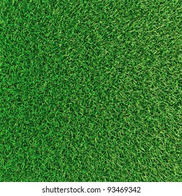 Green Grass Background Texture.