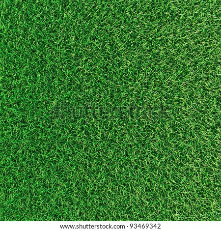 Green grass background texture.