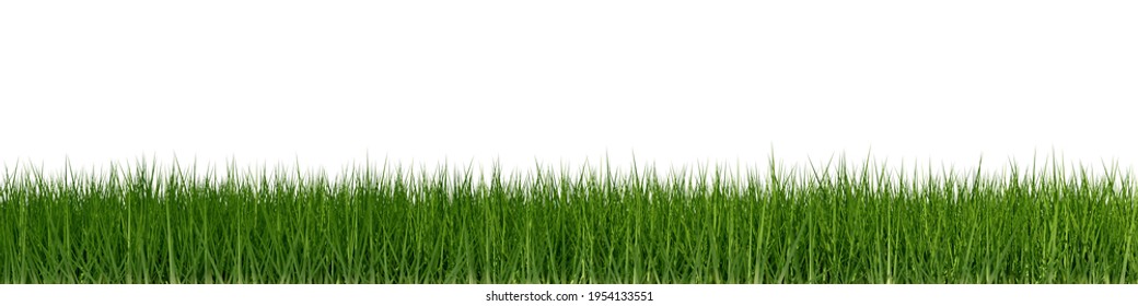 Green Grass Border Edge Wide Banner Stock Illustration 1954133551 