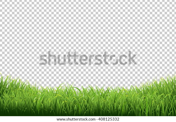 透明な背景に緑の草の枠 のイラスト素材