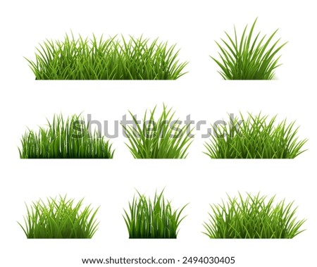 Green Grass Border Set And Isolated White Background 