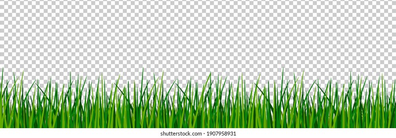 Green Grass Border. Spring Forest Meadow Isolated On Background. Summer Landscape Seamless Pattern