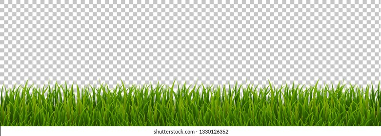 Green Grass Border Transparent Background