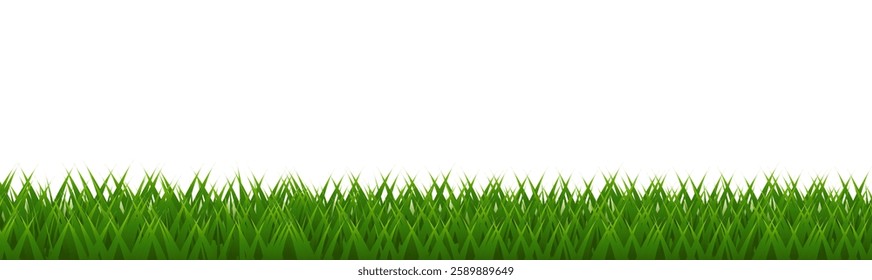 Green Grass Border And White Background
