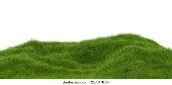 Green grass field isolated on white background. 3d rendering.