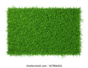 green grass field isolated on white background. 3d rendering