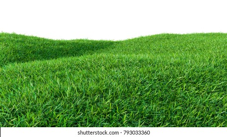 Lawn White Background Stock Photo 737258122 | Shutterstock