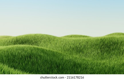 Green Grass Field. Summer Landscape Scene Mockup. 3d Illustration