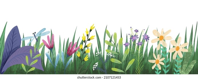 green grass with flowers and dragonfly on a white background. Children's illustration