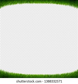 Green Grass Frame Transparent Background