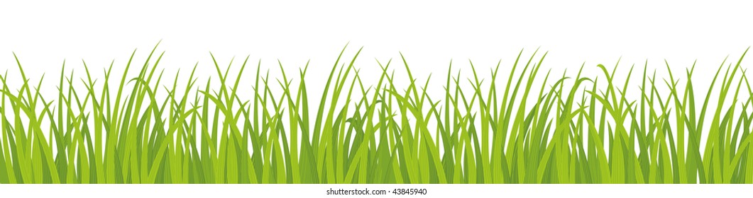 Vector Seamless Image Green Realistic Grass Stock Vector (Royalty Free ...