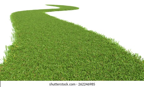 Green Grass Path