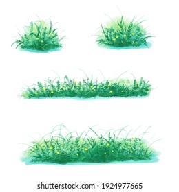 Green Grasses Digitally Painted By Watercolor 